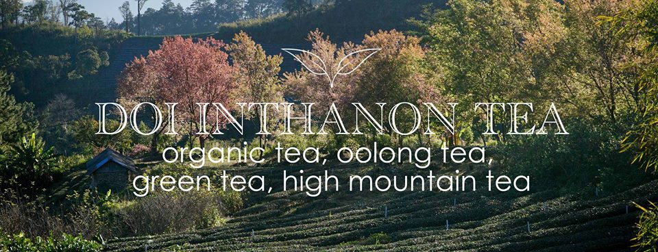 Doi Inthanon Tea Company